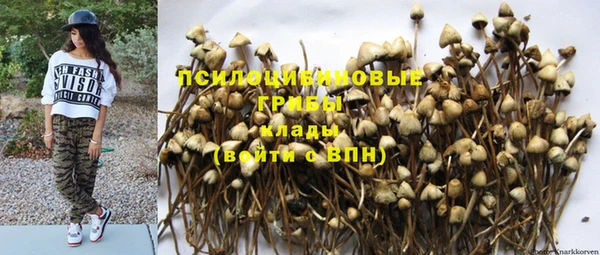 героин Абаза