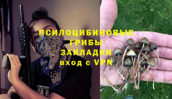 экстази Алексеевка