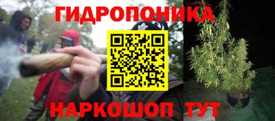мяу мяу мука Абакан