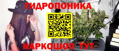 ГАЛЛЮЦИНОГЕННЫЕ ГРИБЫ Абинск