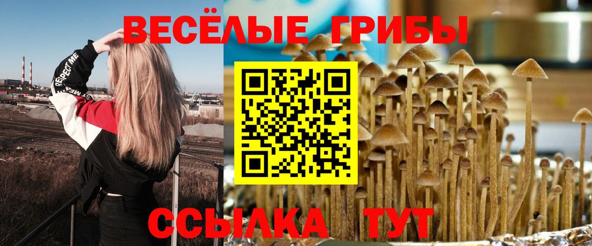 Псилоцибиновые грибы ЛСД Абакан