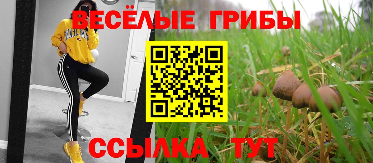 Абакан  Галлюциногенные грибы мицелий  Вход с VPN 