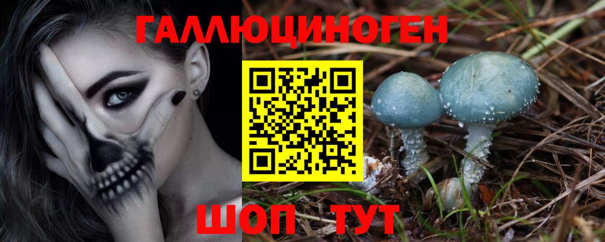 Галлюциногенные грибы GOLDEN TEACHER  Вход с VPN  Абакан 