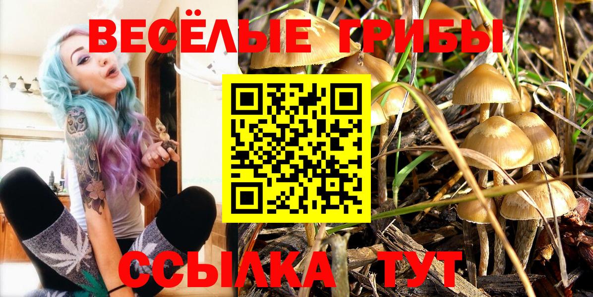 Мефедрон   Каннабис  ТГК  ГАШИШ  Экстази  Гашиш  Абакан  МЕФ  А ПВП СК кристаллы  Вход с VPN 