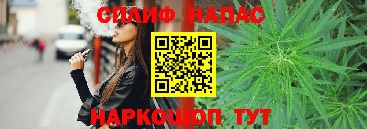 Каннабис план Абакан